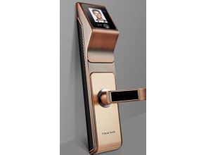 網(wǎng)絡時代下的防盜報警系統(tǒng)